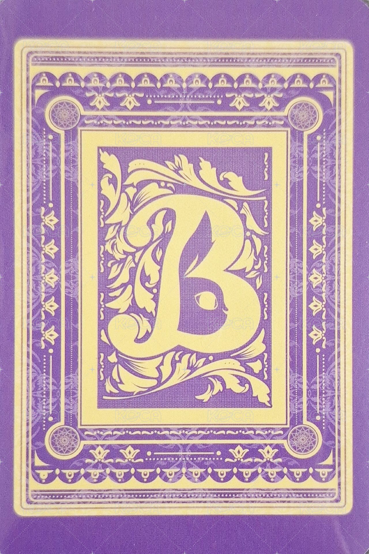 the collective soul and unconscious: chapter one 專輯卡  背面