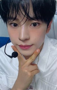 Songbird wm 線上2.0 簽售卡 