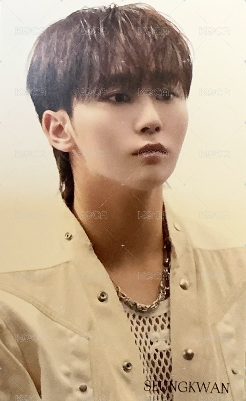 正四 hmv 特典卡  正面