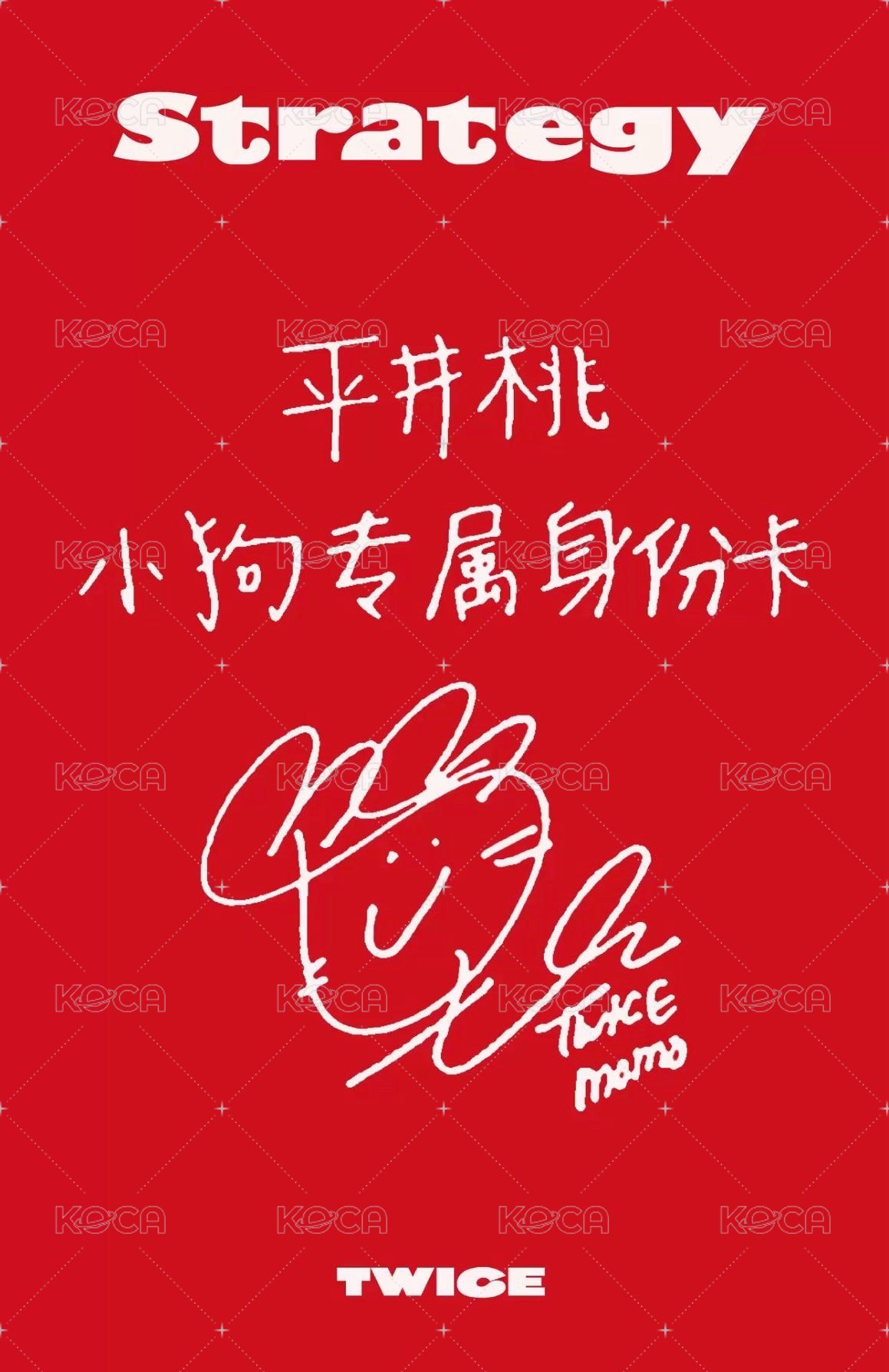 mini 14 sr 預售中文卡背 特典卡  背面