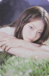 25’世巡 隨機卡 