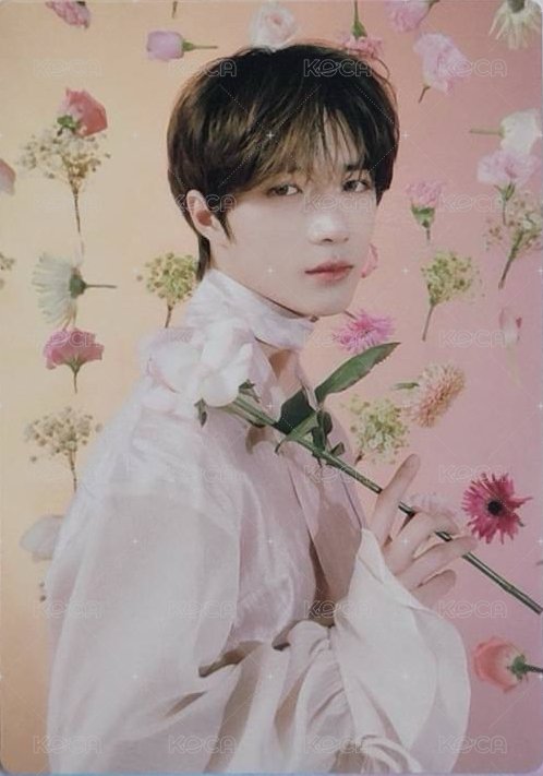 23‘巡迴 隨機卡 ACT：SWEET MIRAGE IN JAPAN 日巡 正面