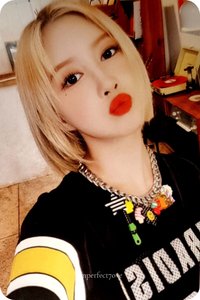 Daily WJSN PHOTOBOOK VER 周邊卡 