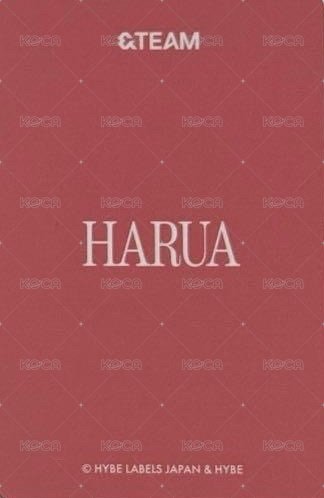 2025飯咪 隨機卡  背面