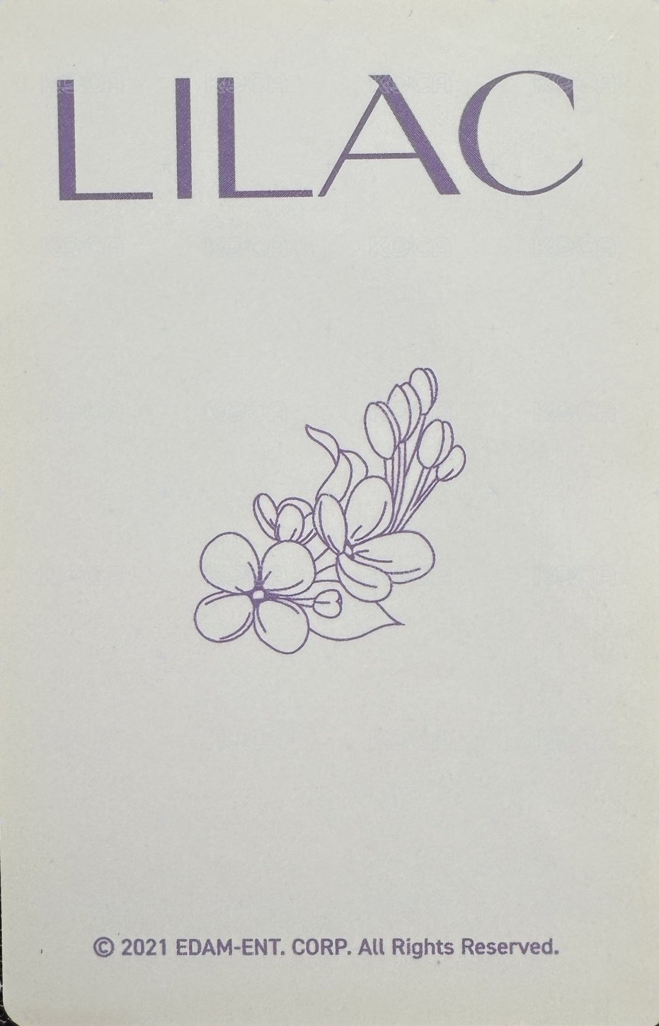 LILAC 生寫真 寫真書小卡 背面