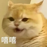 鯊魚人