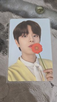 拿花🐶