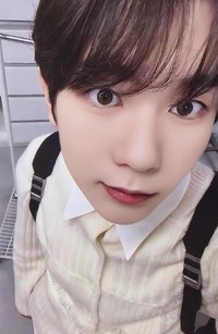 Steady yzy 特典卡 預售