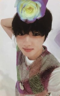 Songbird kms 預售v2 特典卡 