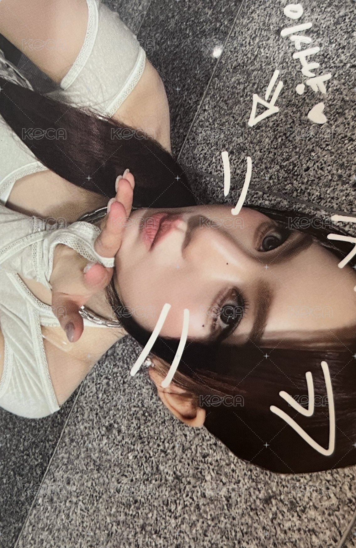 S ms 簽售卡 寵物鏡頭莎 正面