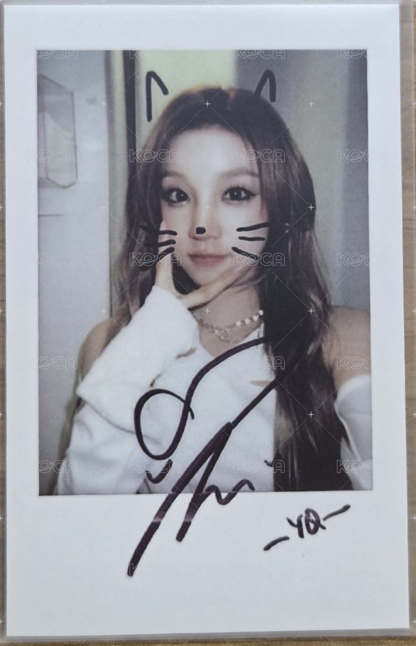 正規二 kms 1.0 JC版 特典卡  正面