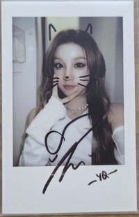 正規二 kms 1.0 JC版 特典卡 