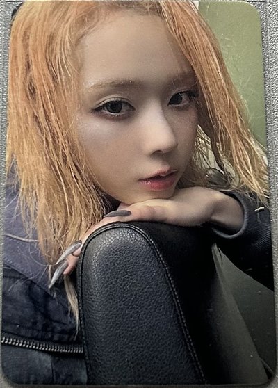 正規一 星河中背冬