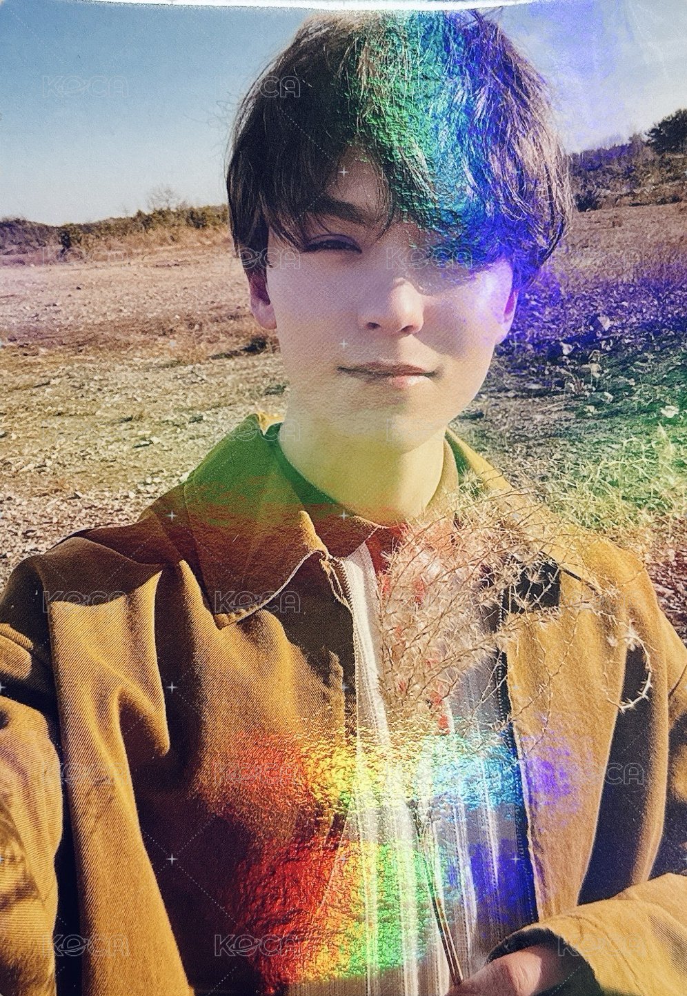 正四 wvs 特典卡 大卡 相框 正面