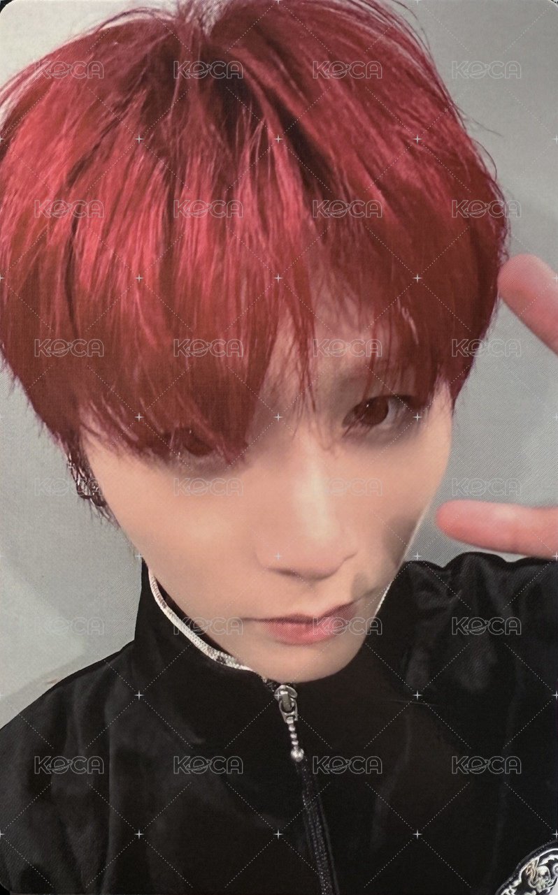 No Genre wvs 特別禮 特典卡 4 正面