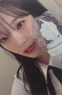 fromis_9 OFFICIAL LIGHT STICK Ver.2  周邊卡 