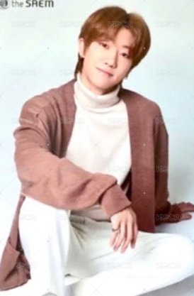 the SAEM 代言卡 雙面卡B 背面