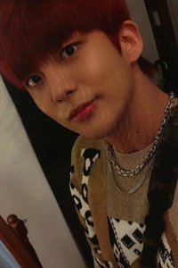 FEVER pt.2 專輯卡 Diary ver. Limited