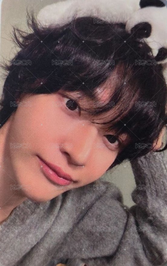 愛寶樂園 周邊卡 小熊卡 正面