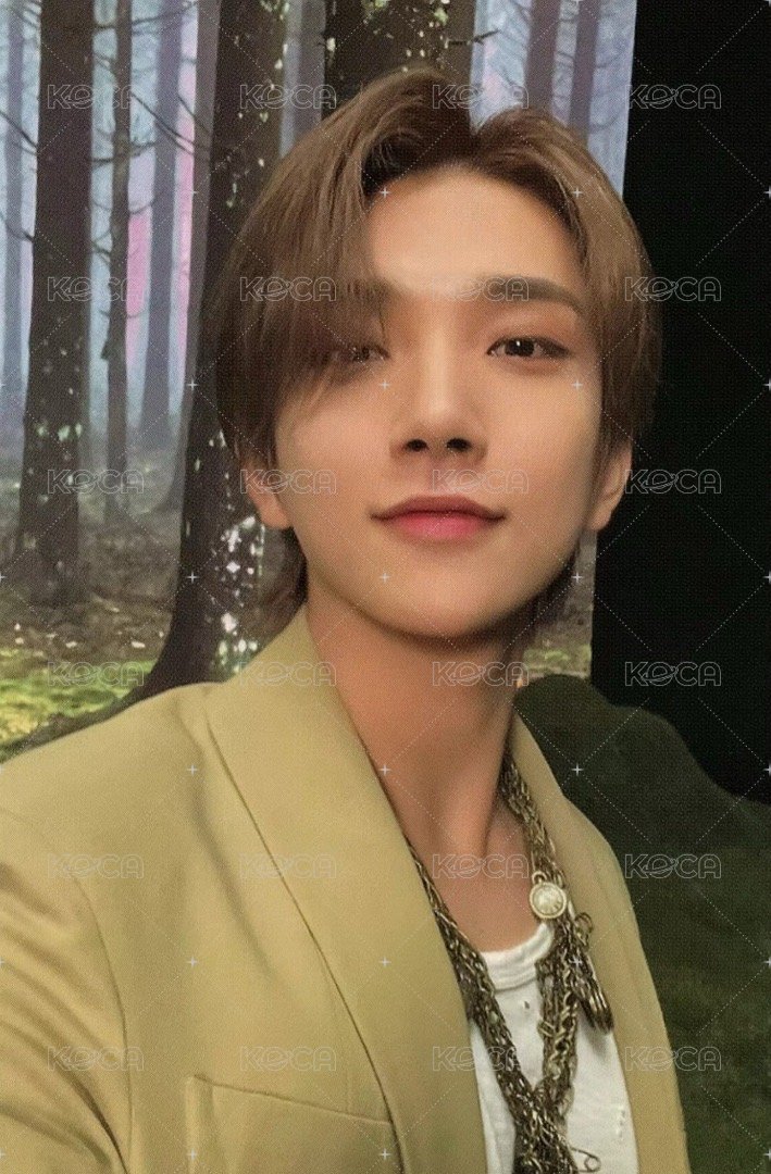 正四 專輯卡 正規四｜CARAT ver. 正面