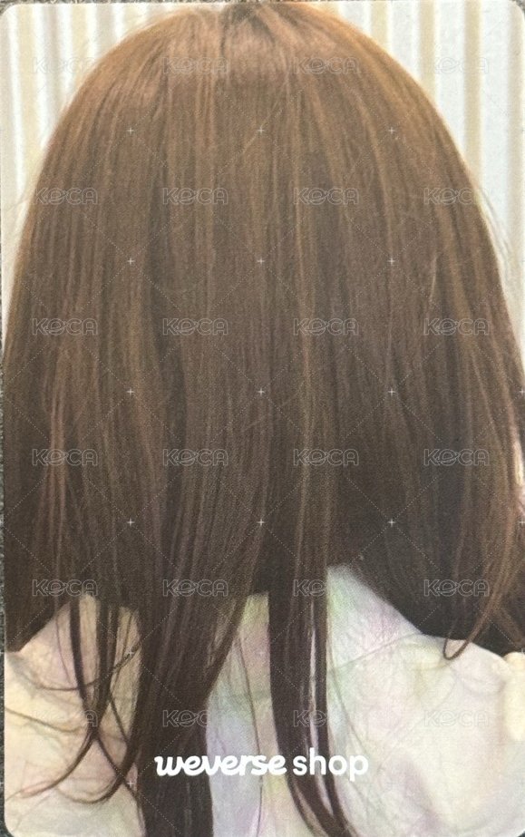 迷三 wvs 1.0 簽售卡 懟臉塔 背面