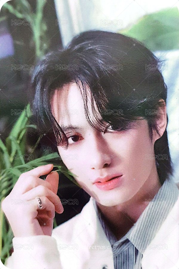 消費期限 專輯卡  正面