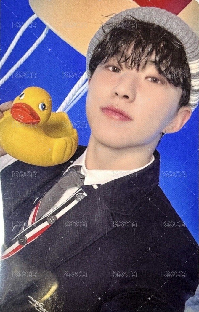 精選專 wvs 特典卡 精選輯｜ CARAT ver. 正面