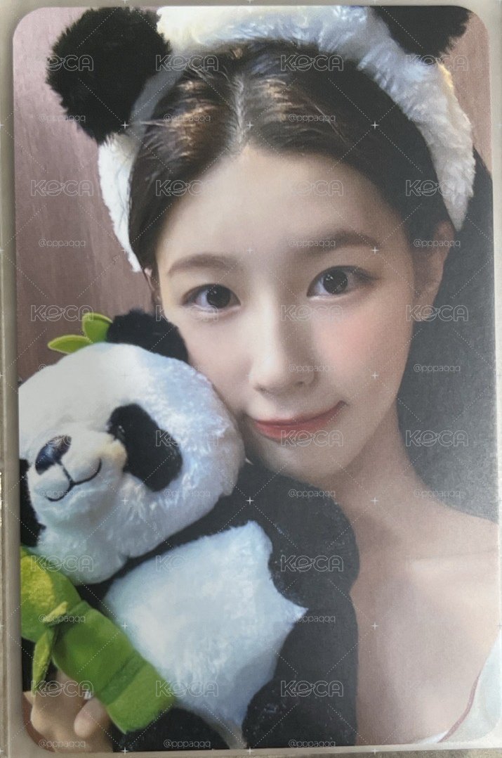 ms 熊貓麵