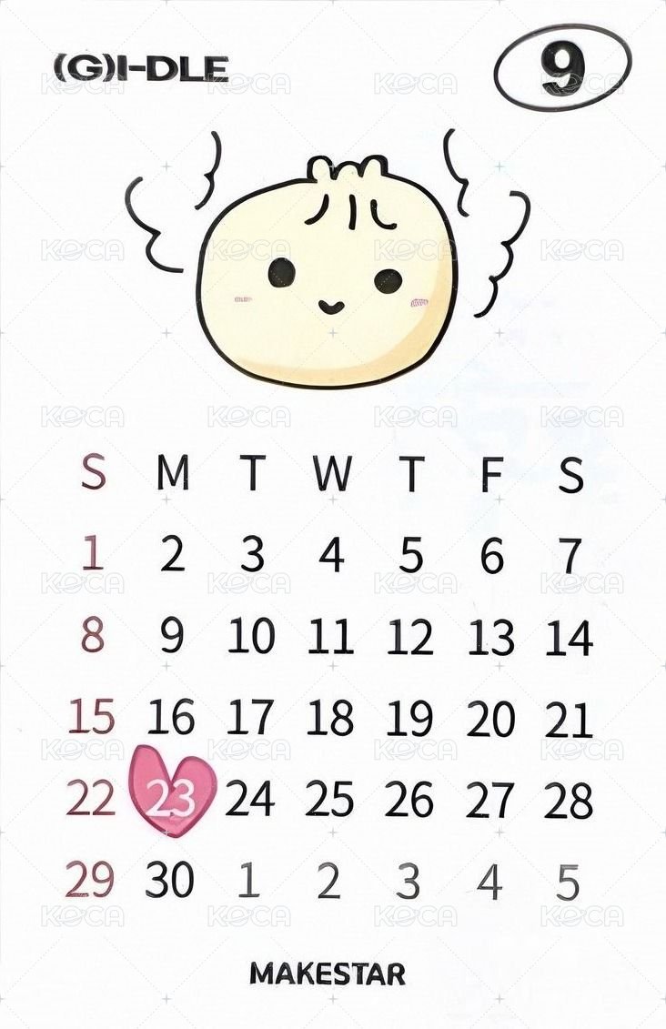 正規二 ms 1.0 特典卡  背面