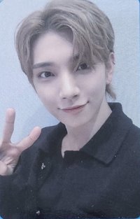 wvs con 入場卡 / 場限卡 