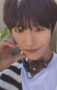 Color 專輯卡 Surf版