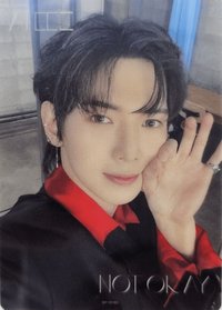 Not Okay hmv 特典卡 