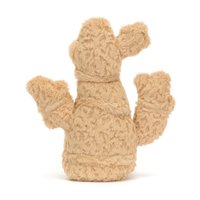 Ginger 薑