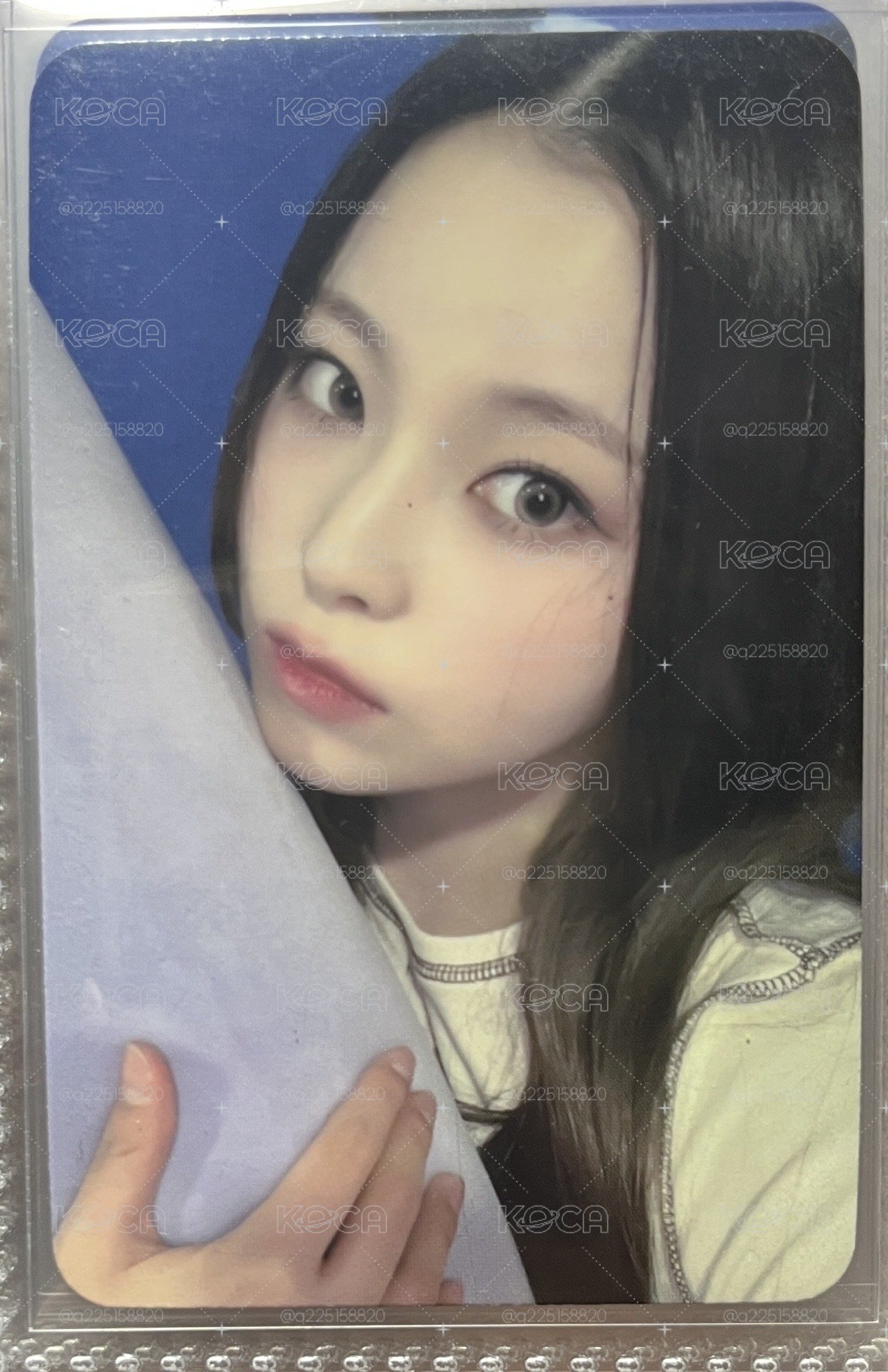抱枕圭
