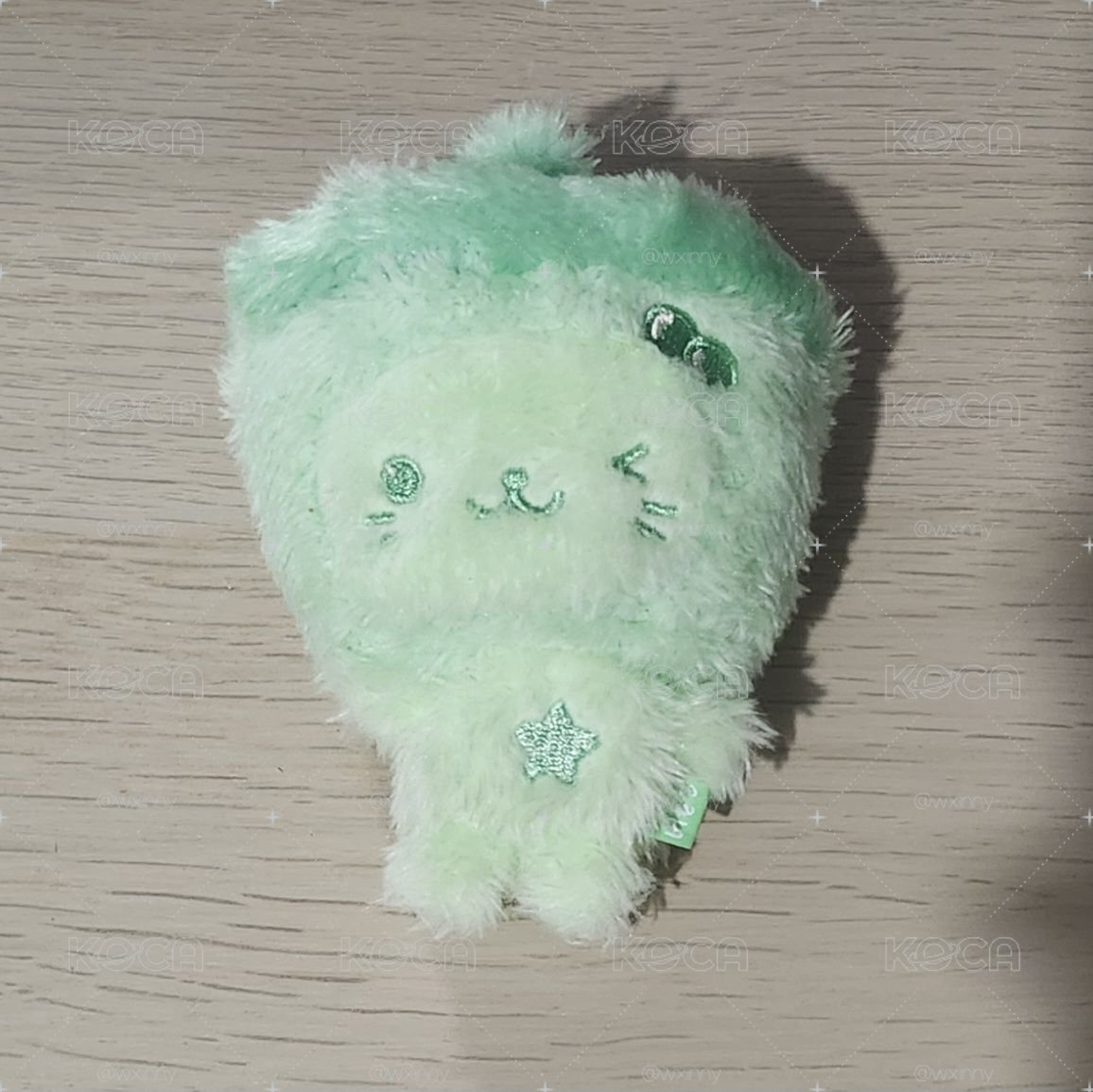 抹茶貓