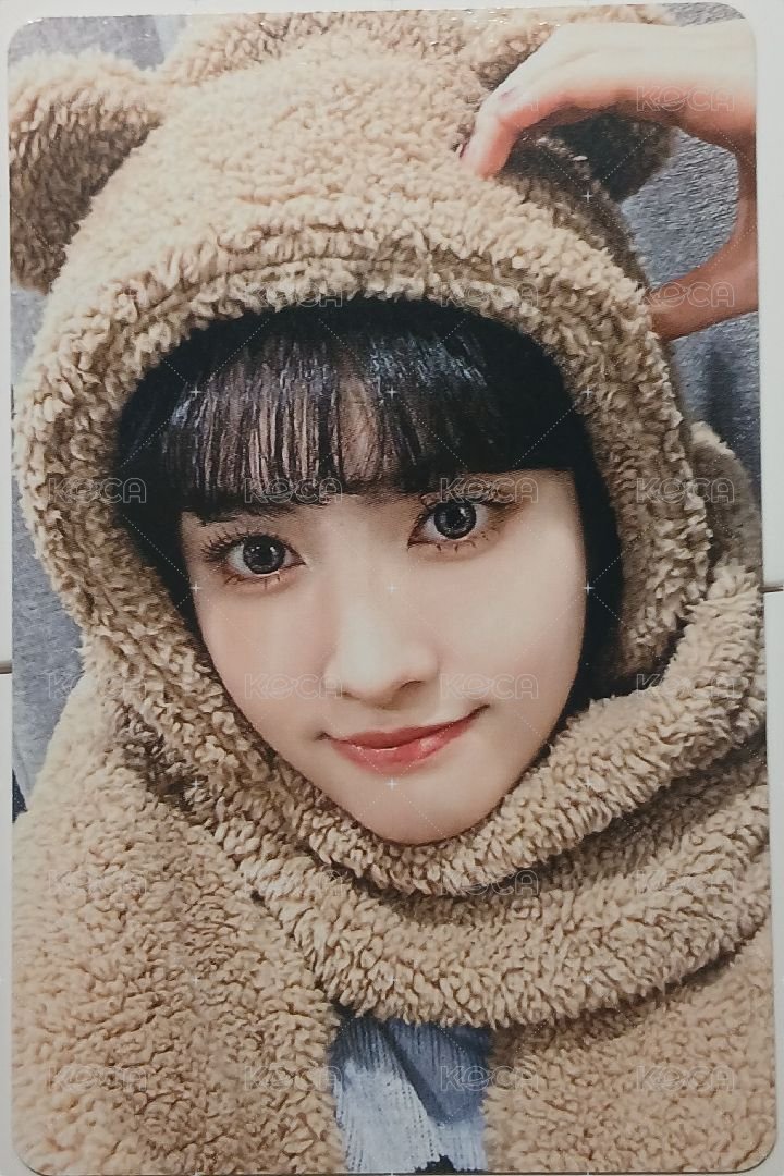 Teddy Bear wm 2.0 特典卡 小熊潤 正面