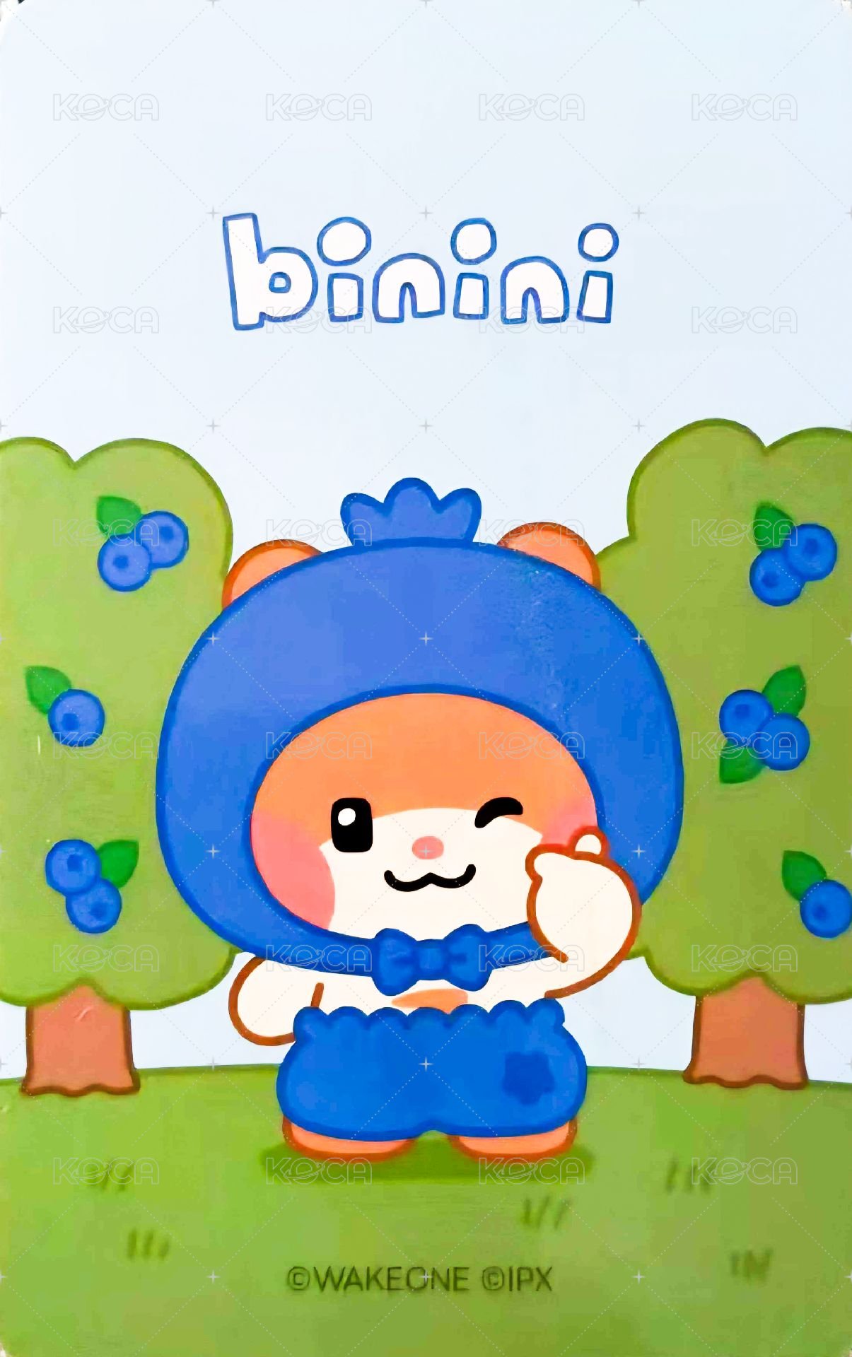 zeroni 水果 滿額卡  背面