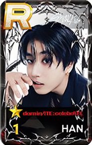 SUPERSTAR 遊戲卡 dominATE：celebrATE