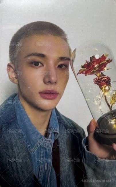 Hollow 專輯卡 FC盤 背面