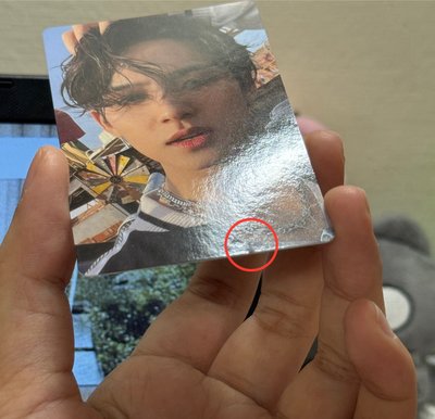 正規四 wvsjp 掰頭奎