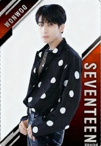 萬代聯名 周邊卡 威化餅乾貼紙