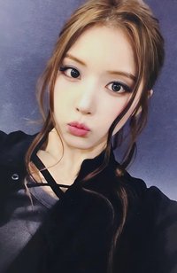 FORWARD sw 線下 1.0 簽售卡 