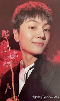 迷四 專輯卡 迷你四 New版專卡