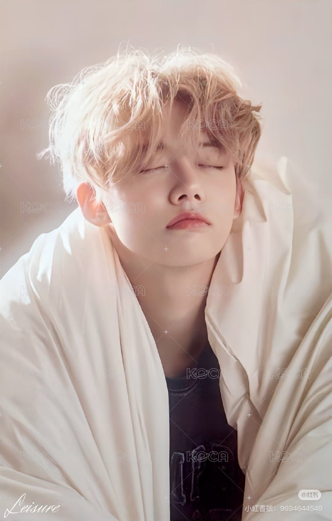 迷七 bn 特典卡  背面