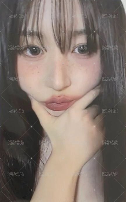 正規一 fans 預售 特典卡  正面