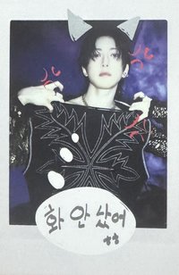 BTL 專輯卡 WVS Albums ver.拍立得