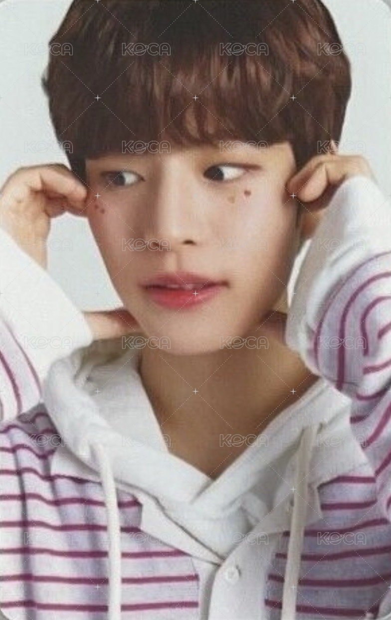 NACIFIC 代言卡 8.0 A版 背面