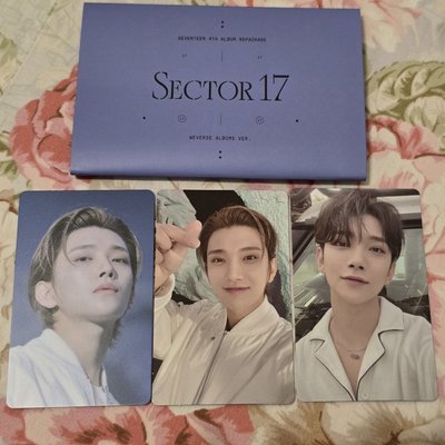 正四後續SECTOR17電子專