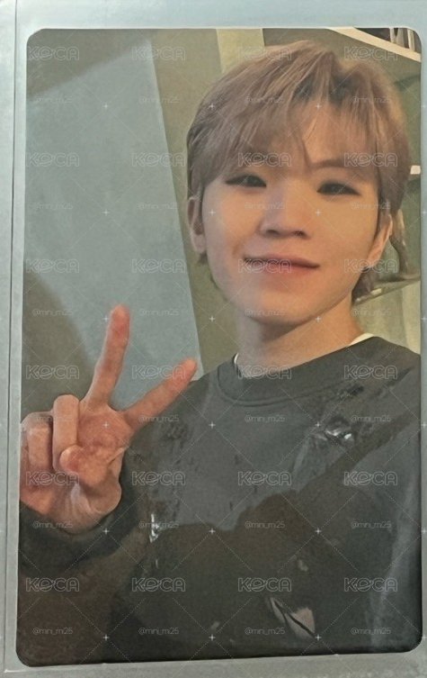 MINI9 專輯卡 CARAT ver.