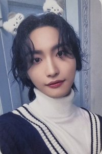 Will mokket 幸運卡 貓咪 ver.